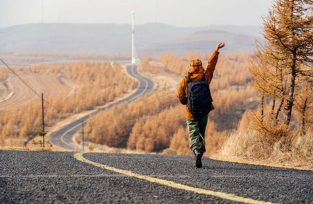 How to Organize an In-depth and Immersive Outdoor Camping Trip: A Comprehensive Camping Guide