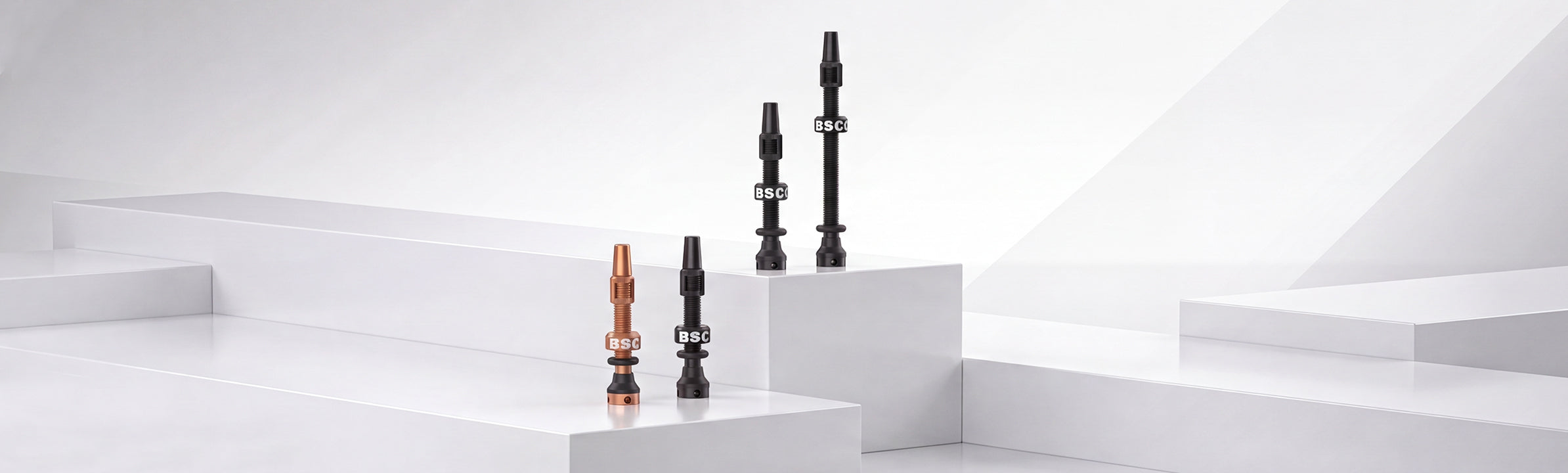 Tubeless Valve
